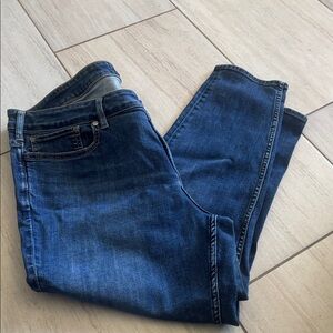 Silver Jeans Classic Blue Denim